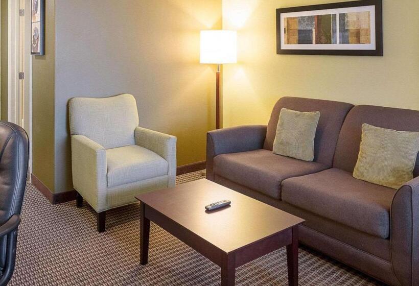 בית מלון כפרי Comfort Suites Harvey   New Orleans West