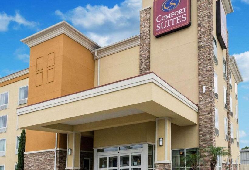 בית מלון כפרי Comfort Suites Harvey   New Orleans West