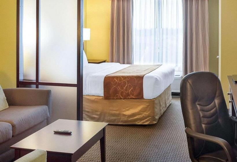 בית מלון כפרי Comfort Suites Harvey   New Orleans West