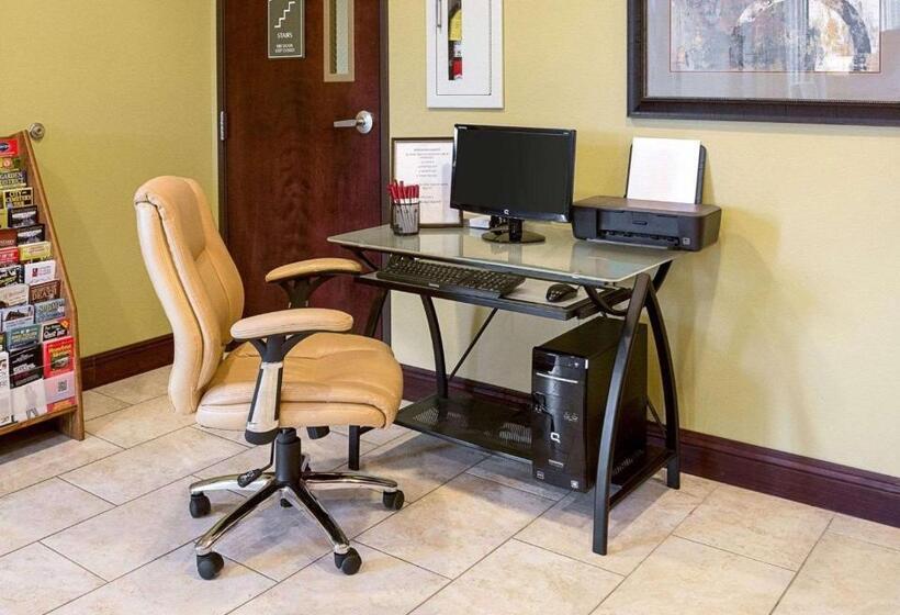 בית מלון כפרי Comfort Suites Harvey   New Orleans West