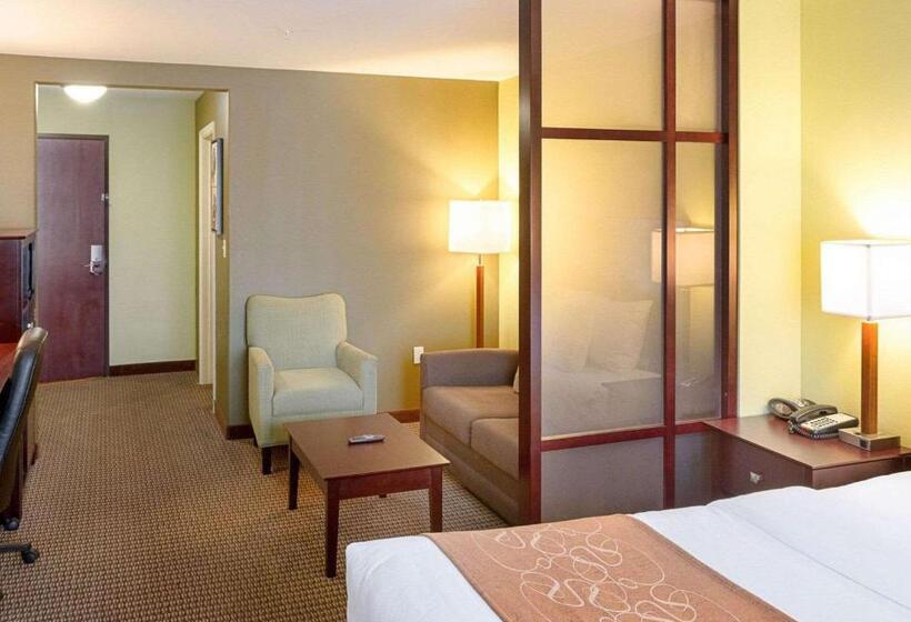 בית מלון כפרי Comfort Suites Harvey   New Orleans West