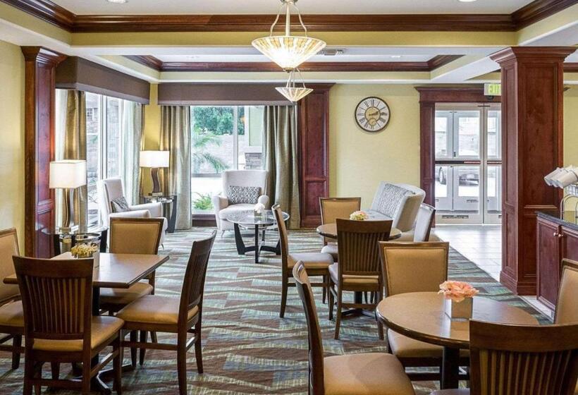 בית מלון כפרי Comfort Suites Harvey   New Orleans West