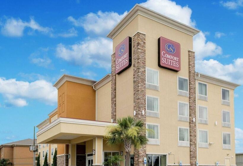 בית מלון כפרי Comfort Suites Harvey   New Orleans West