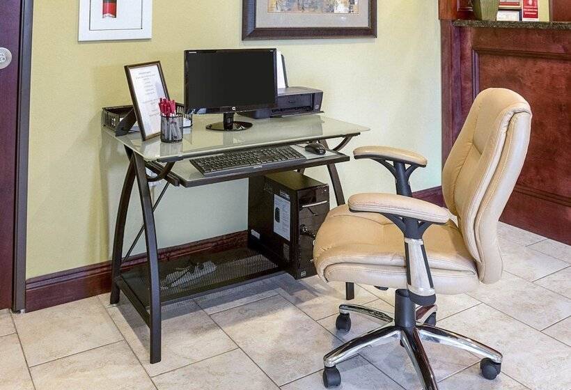 בית מלון כפרי Comfort Suites Harvey   New Orleans West