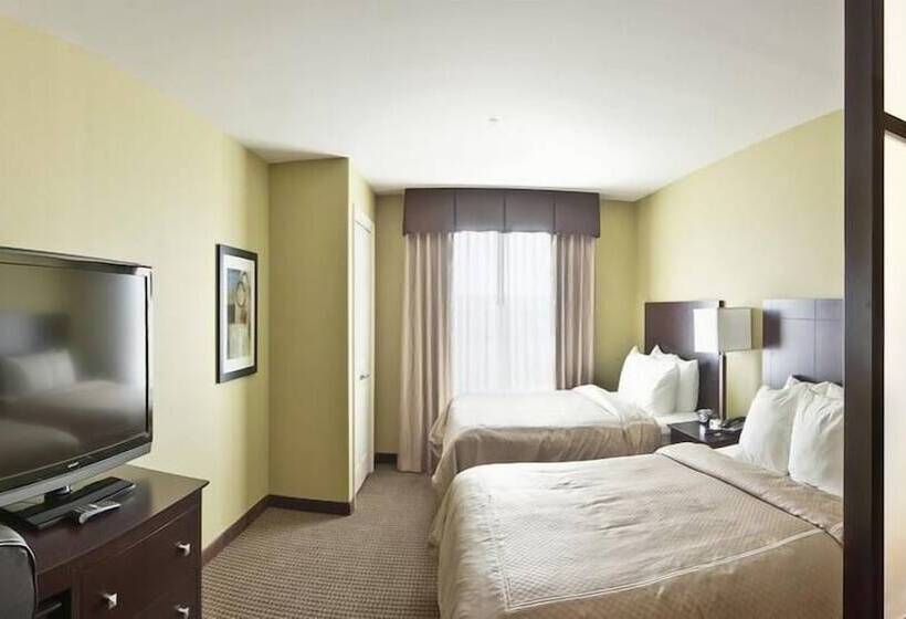 בית מלון כפרי Comfort Suites Harvey   New Orleans West