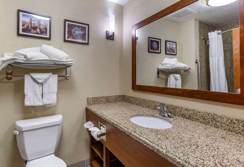 ホテル Comfort Suites