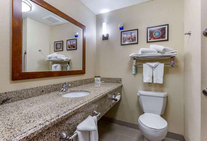 ホテル Comfort Suites