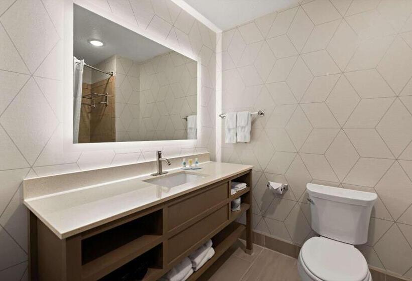 فندق Comfort Suites Hudson I94