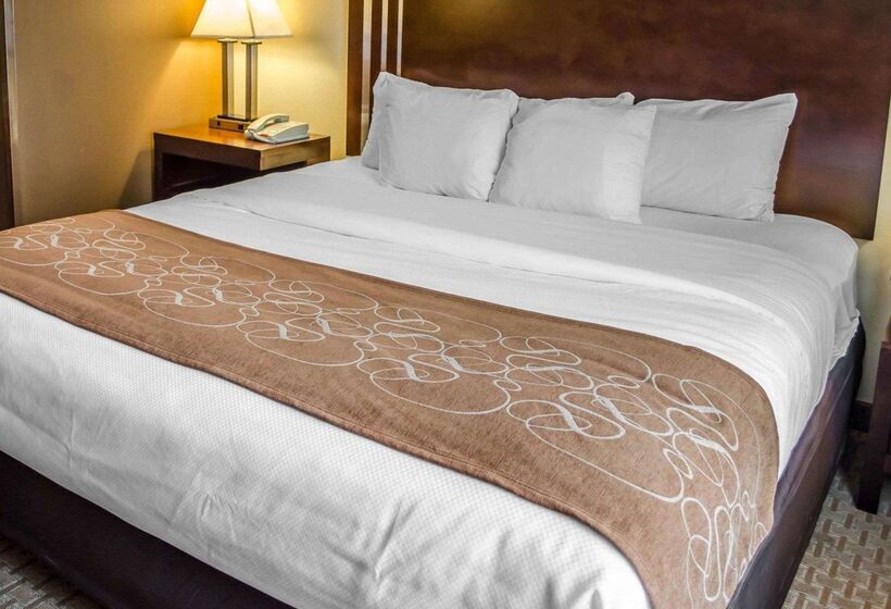 酒店 Comfort Suites Hummelstown Hershey