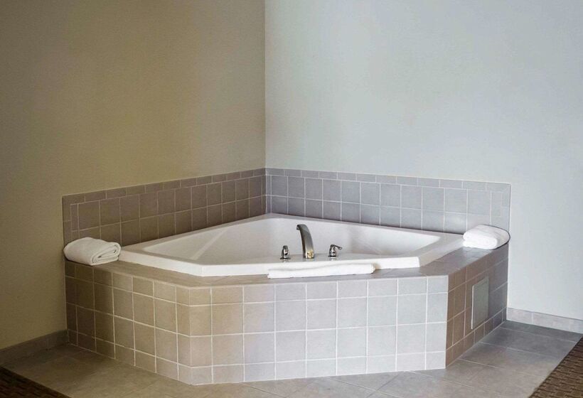 酒店 Comfort Suites Hummelstown Hershey