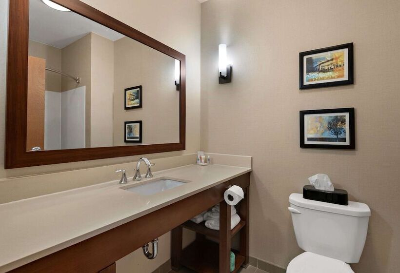 酒店 Comfort Suites Hummelstown Hershey