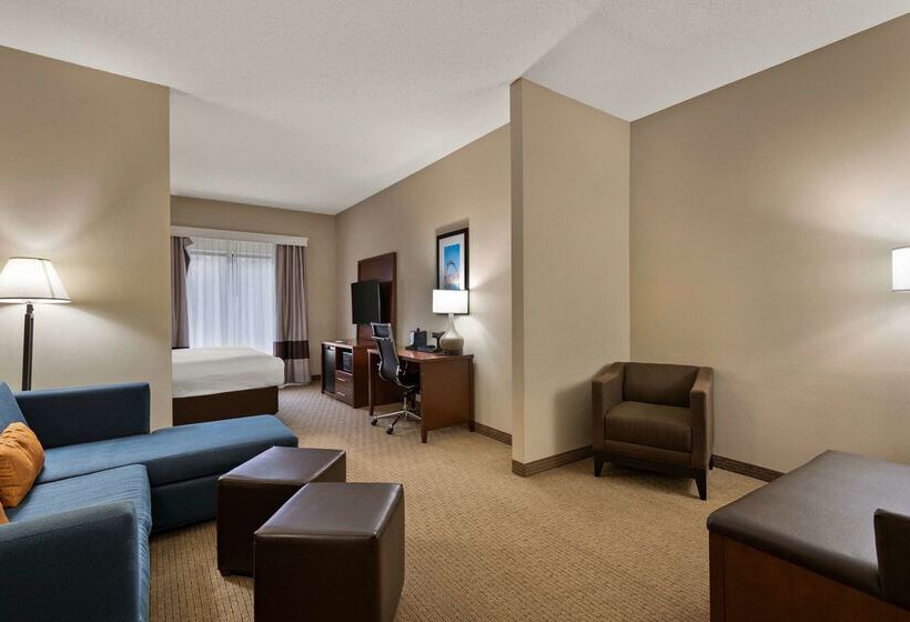 酒店 Comfort Suites Hummelstown Hershey