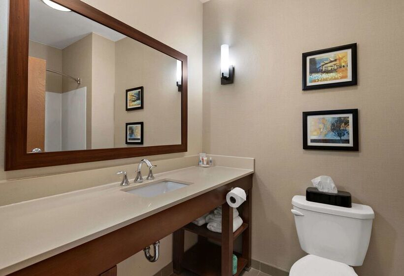 酒店 Comfort Suites Hummelstown Hershey