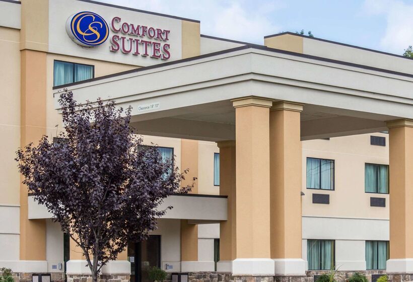 فندق Comfort Suites Lewisburg
