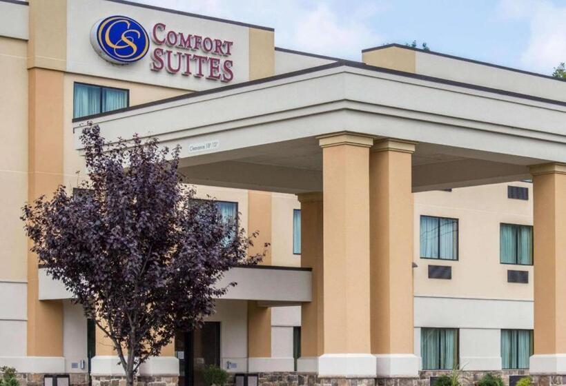 فندق Comfort Suites Lewisburg