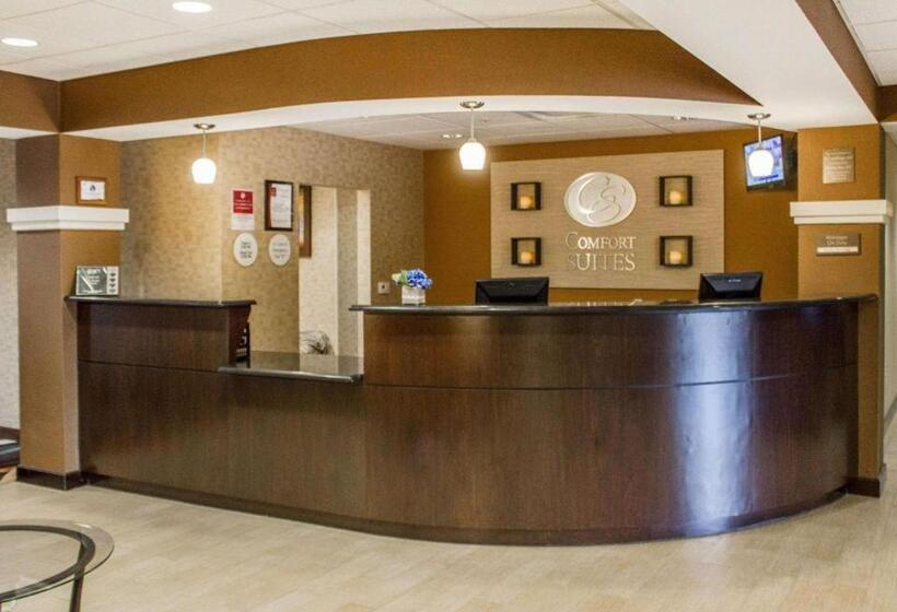 فندق Comfort Suites Lewisburg