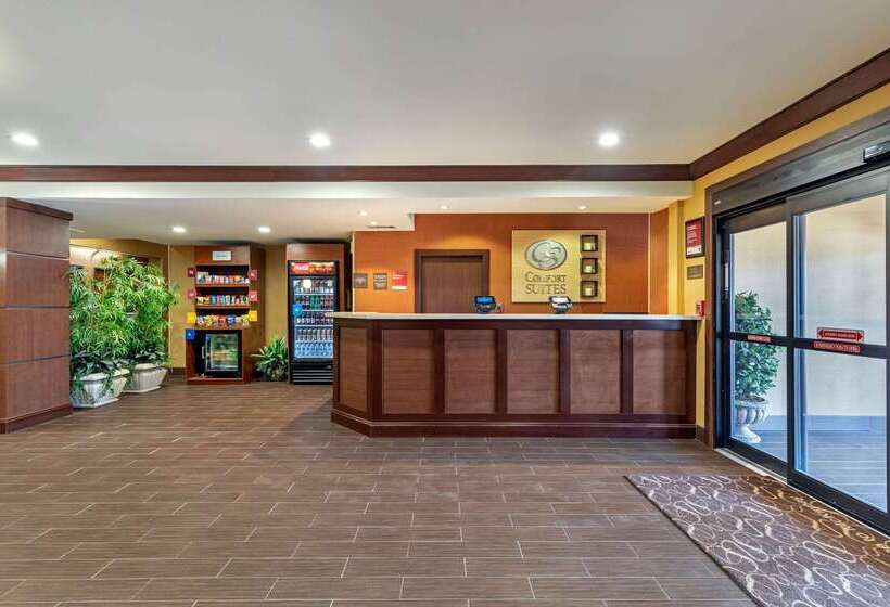 ホテル Comfort Suites Mckinneyallen