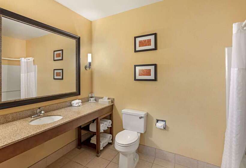 酒店 Comfort Suites Mckinneyallen