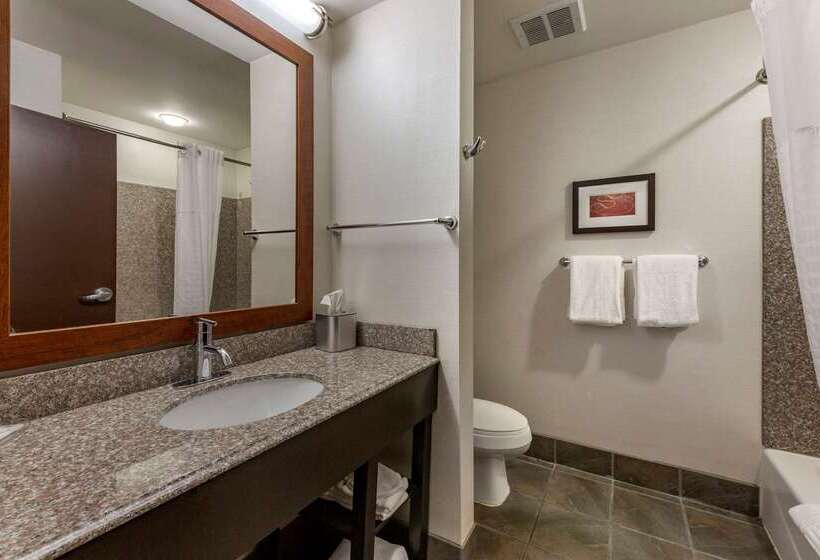 فندق Comfort Suites Perrysburg  Toledo South