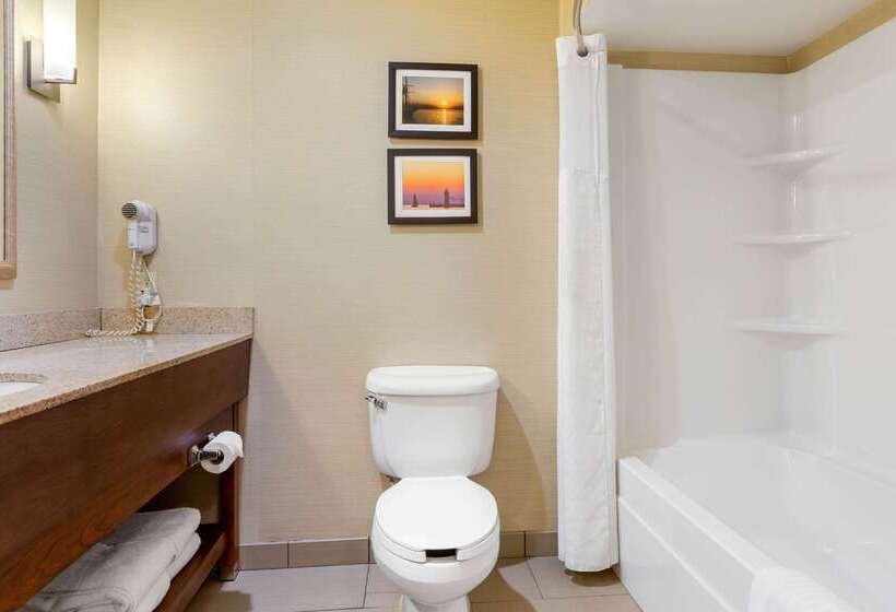 فندق Comfort Suites South Haven Near I96