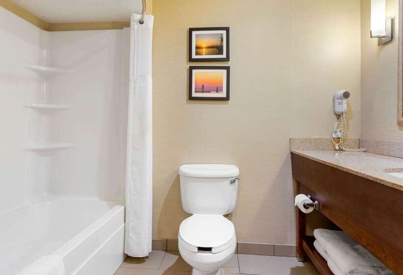 فندق Comfort Suites South Haven Near I96