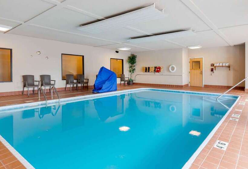 فندق Comfort Suites South Haven Near I96