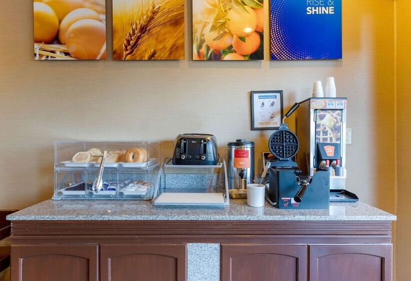 فندق Comfort Suites South Haven Near I96