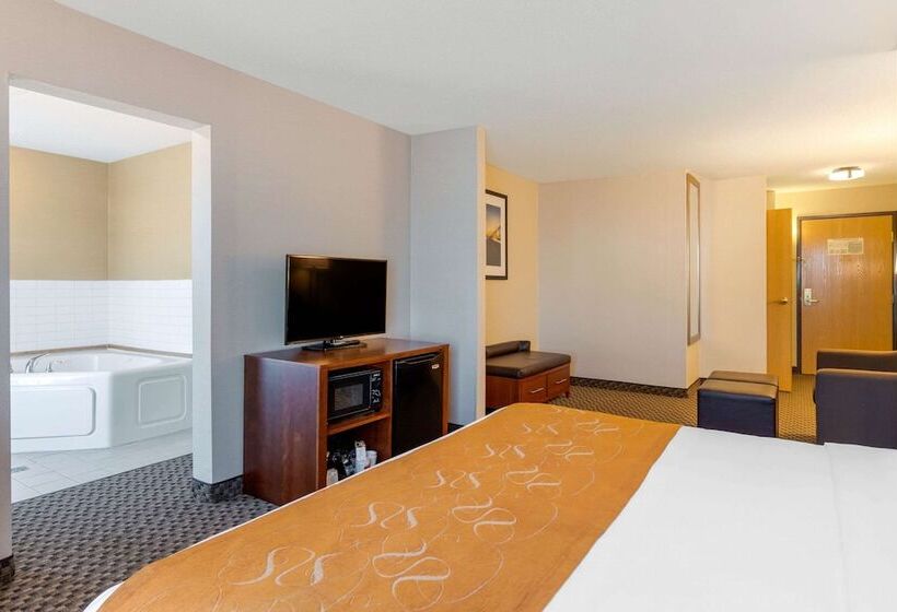 فندق Comfort Suites South Haven Near I96