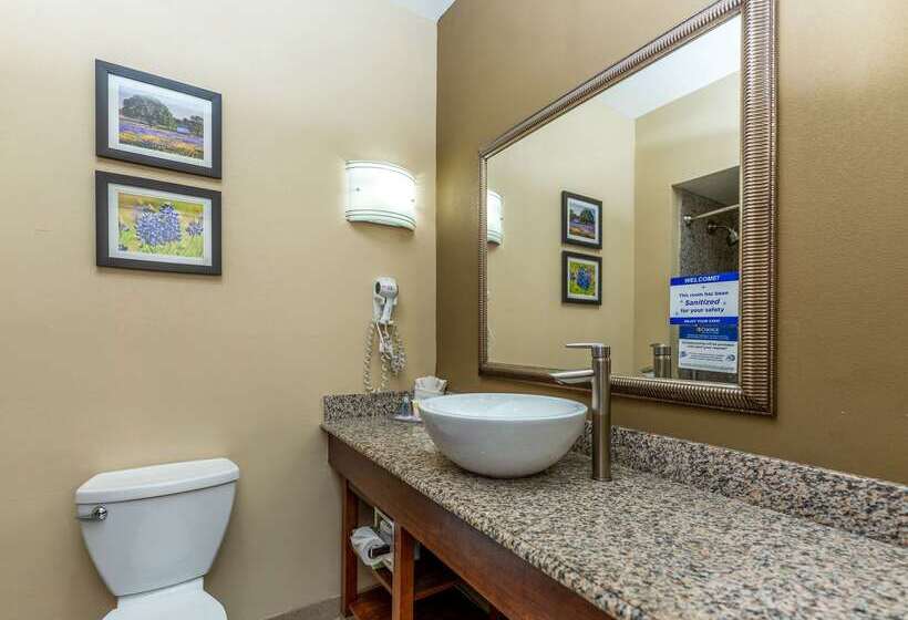 فندق Comfort Suites Old Town Spring