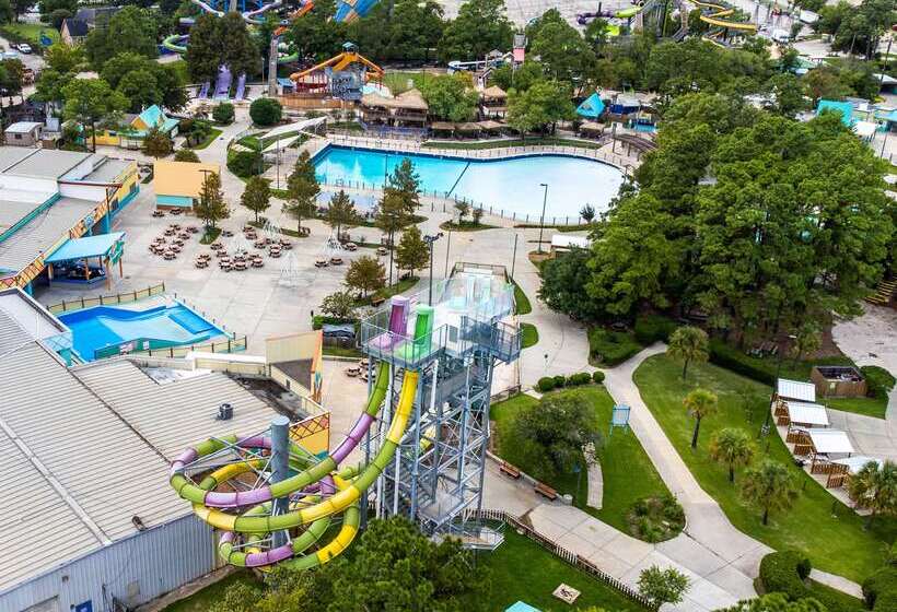 فندق Comfort Suites Old Town Spring