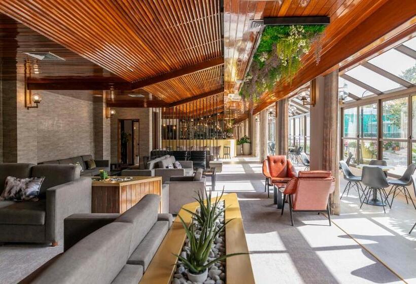 D. Afonso Hotel & Spa