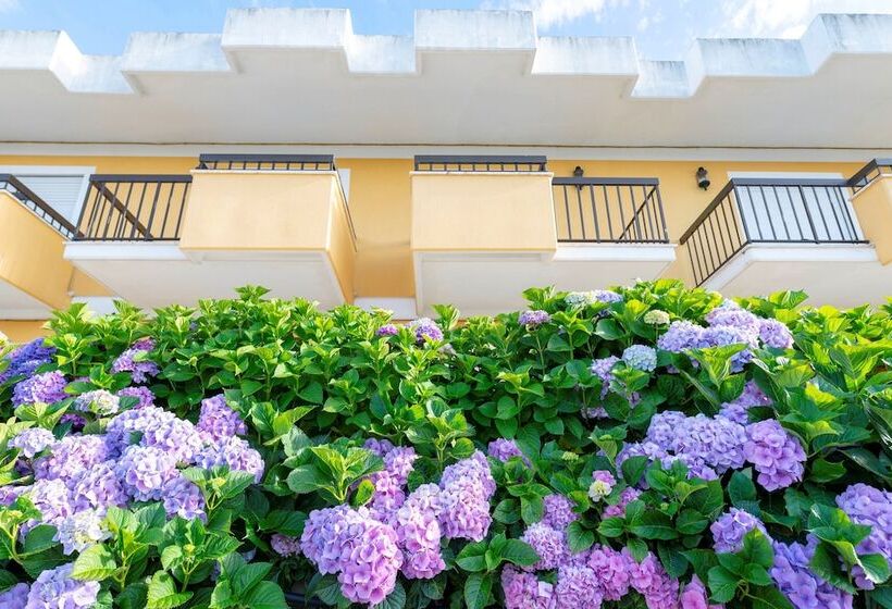 D. Afonso Hotel & Spa