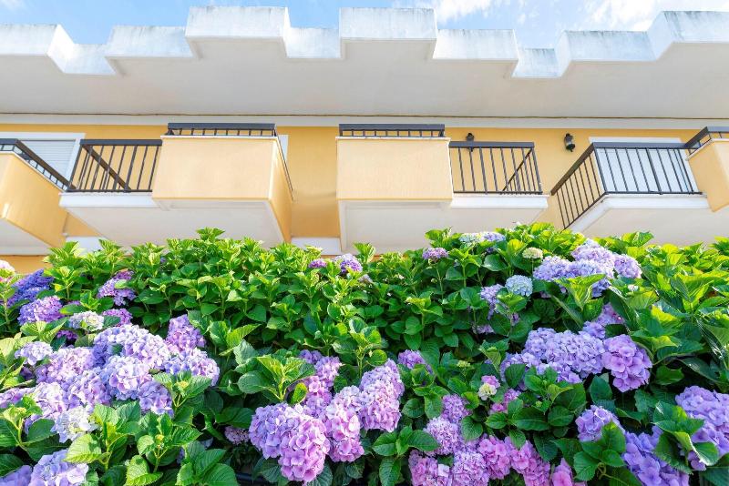 D. Afonso Hotel & Spa