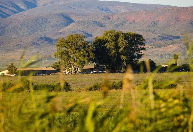 هتل De Zeekoe Guest Farm