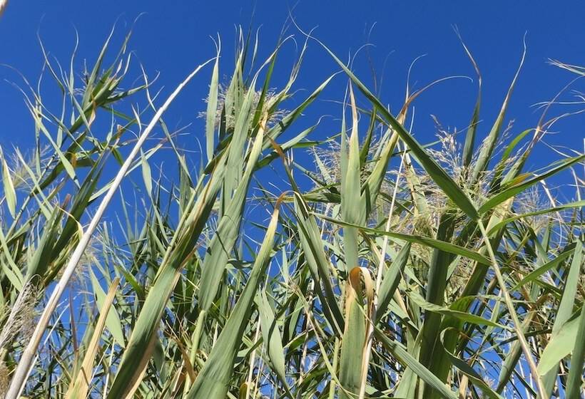 هتل De Zeekoe Guest Farm