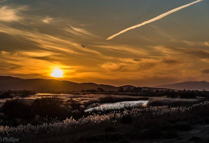 هتل De Zeekoe Guest Farm