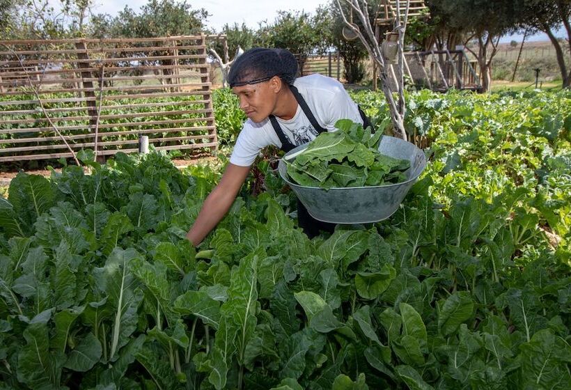 هتل De Zeekoe Guest Farm