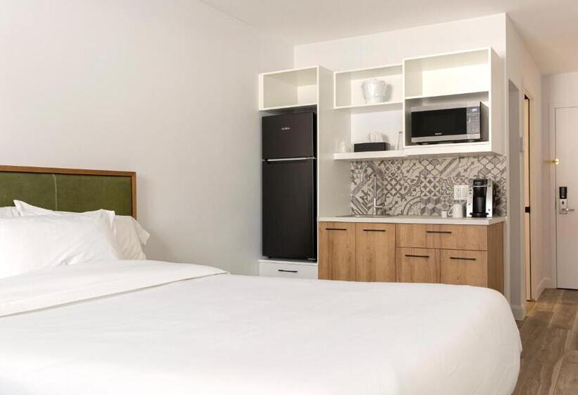 ホテル Econo Lodge Inn & Suites