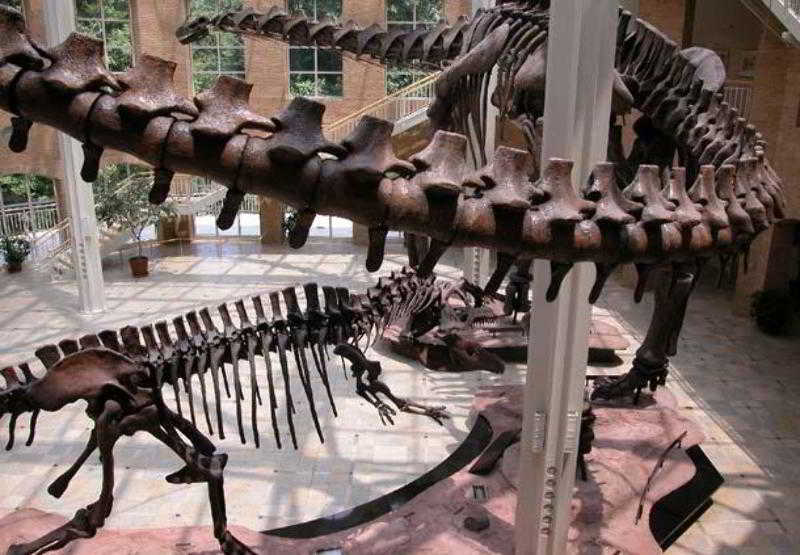 فندق Fairfield Inn & Suites By Marriott Atlanta Stonecrest