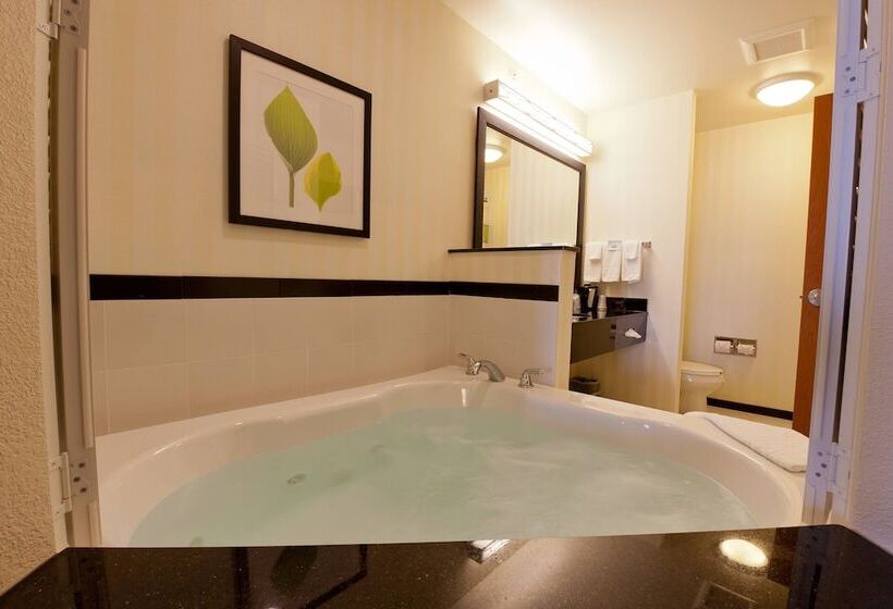 호텔 Fairfield Inn And Suites Flint Fenton