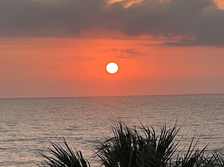 호텔 Flamingo Inn Beachfront