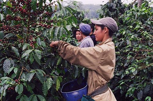 فندق Hacienda El Roble