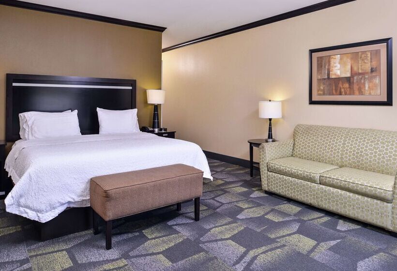 فندق Hampton Inn & Suites Big Spring