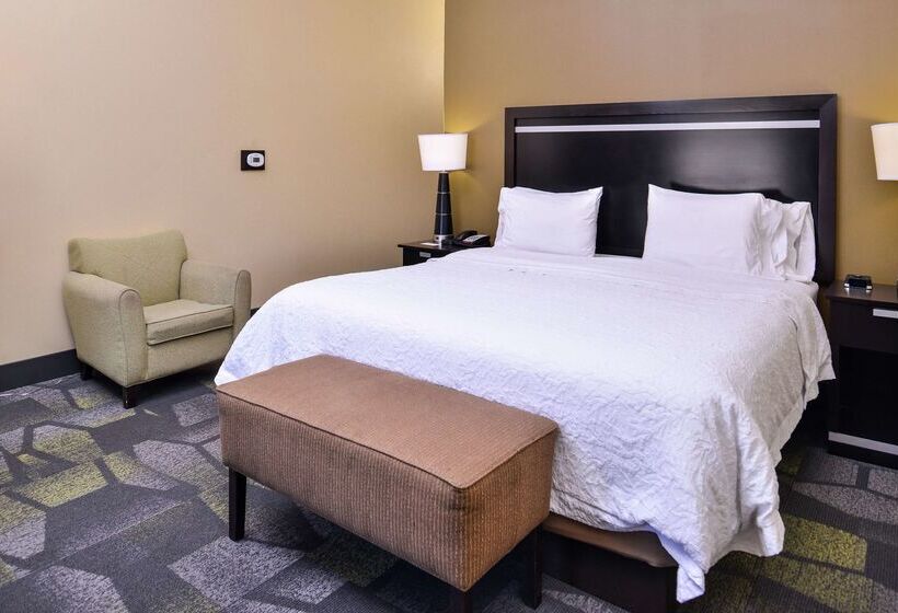 فندق Hampton Inn & Suites Big Spring