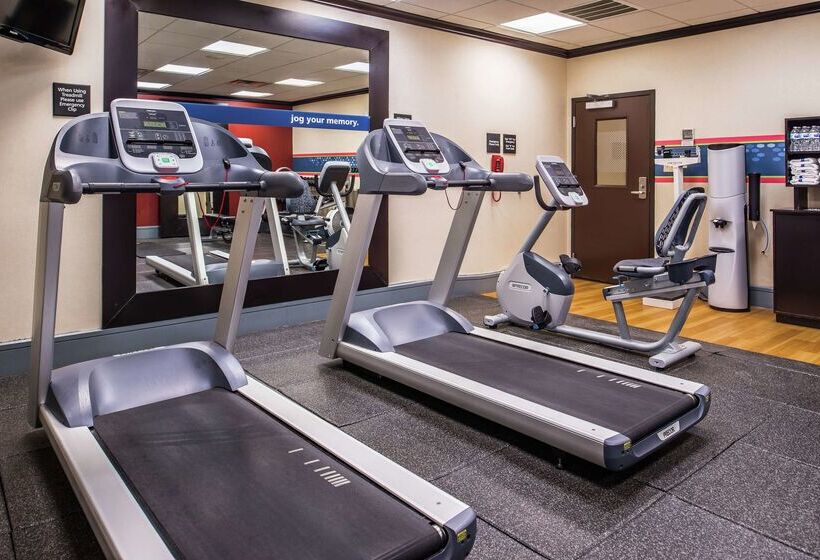 فندق Hampton Inn & Suites Big Spring