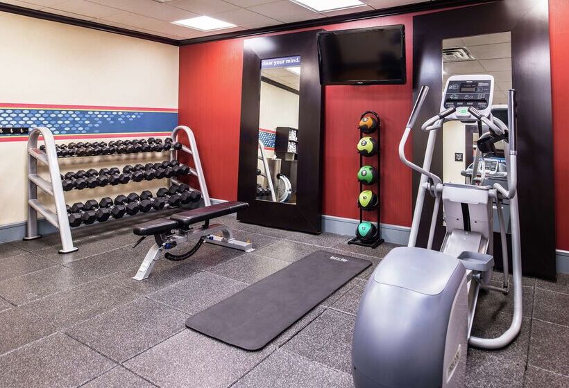 فندق Hampton Inn & Suites Big Spring