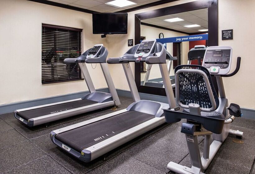 فندق Hampton Inn & Suites Big Spring