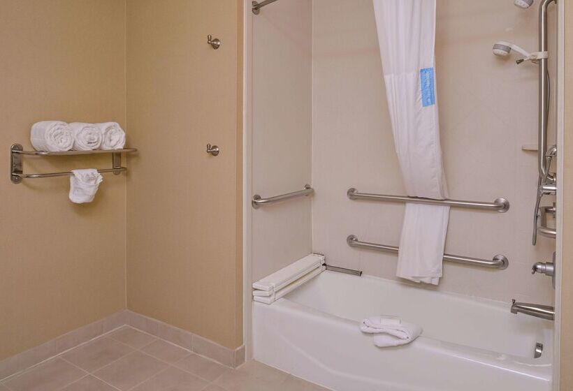 فندق Hampton Inn & Suites Big Spring