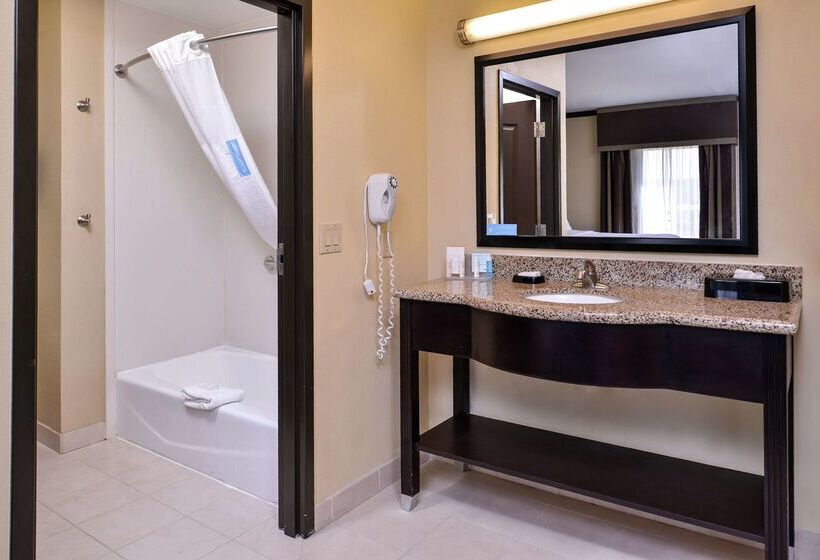 فندق Hampton Inn & Suites Big Spring