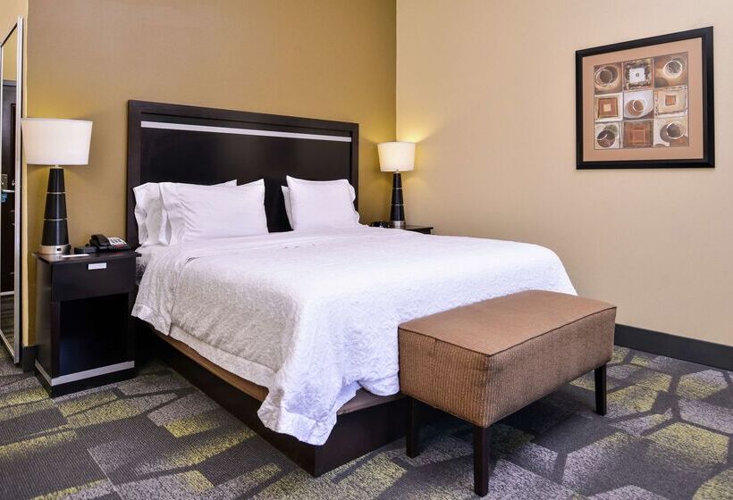 فندق Hampton Inn & Suites Big Spring